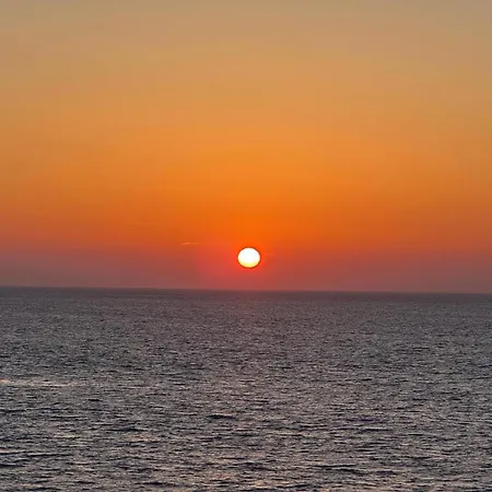 Palombaggia Camara - * Lecci