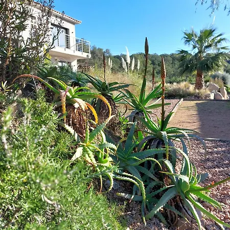 Palombaggia Camara - Bed and Breakfast *