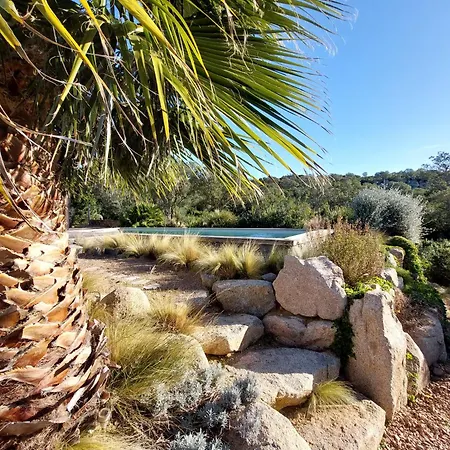 Palombaggia Camara - Bed and Breakfast Lecci