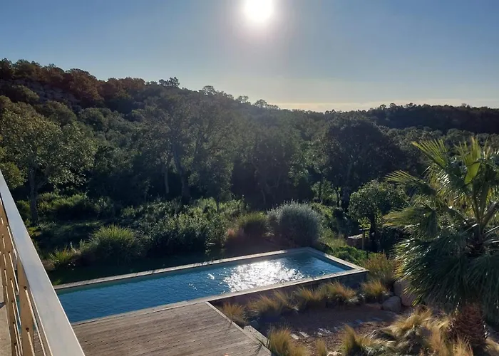 Palombaggia Camara - ليسي