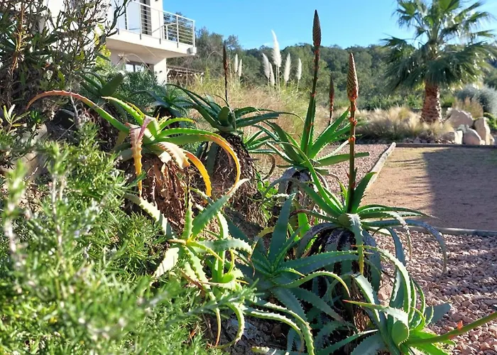 Palombaggia Camara - فندق مبيت وإفطار *