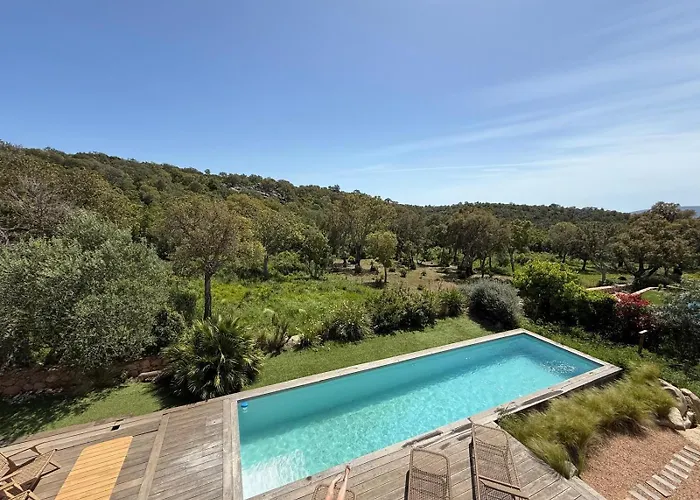 Palombaggia Camara - ليسي